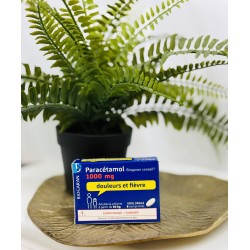 paracetamol 1G biogaran